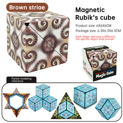 Variety Rubik's Cube Stress Relief Toy Geometry 3b Infinite Rubik's Cube Children's Educational Toy