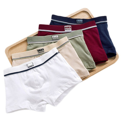 Boys Underwear Children Panties Boys Cotton Boxer Shorts Children's Panties Kids Underwear For 2-16 years 5 pcs