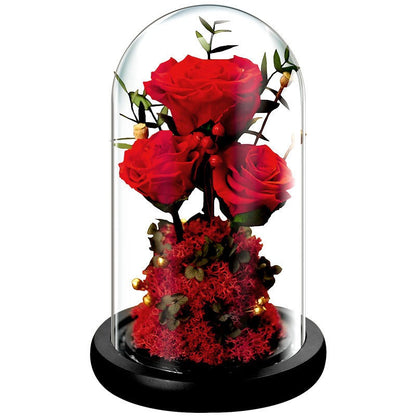 Valentine's Day Gift Practical Immortal Flowers Dried Roses Glass Cover Gift Box Creative Ornaments Immortal Flowers